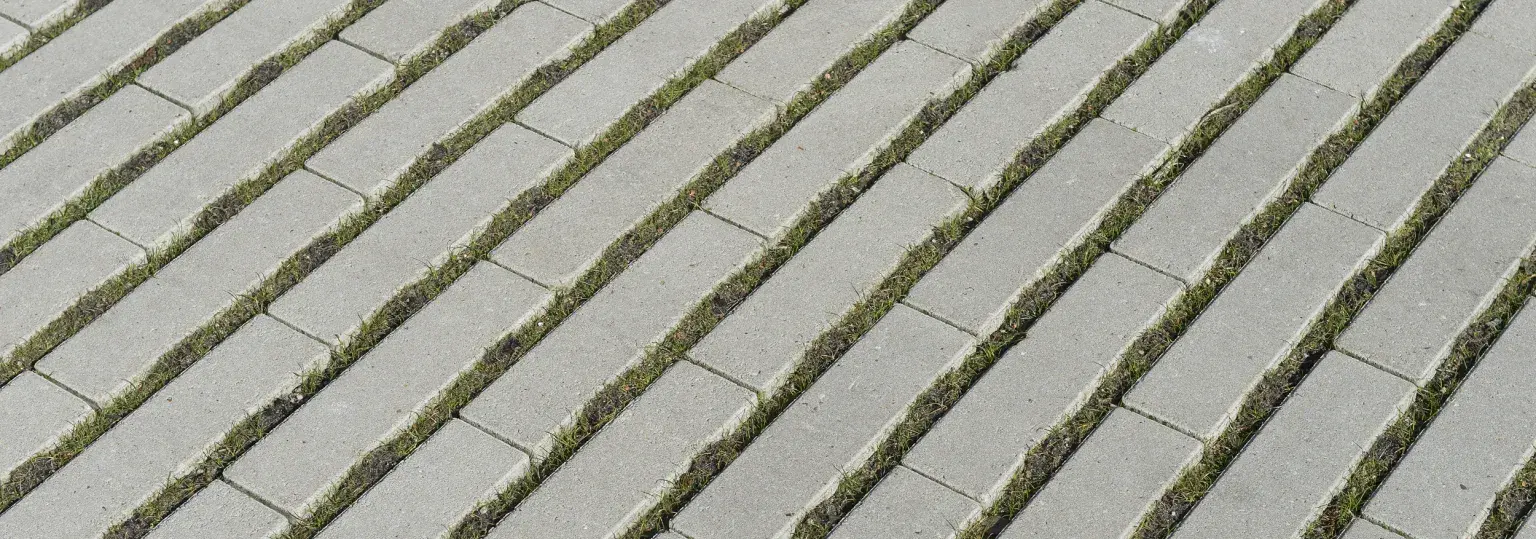 Beter stadsklimaat dankzij bestrating