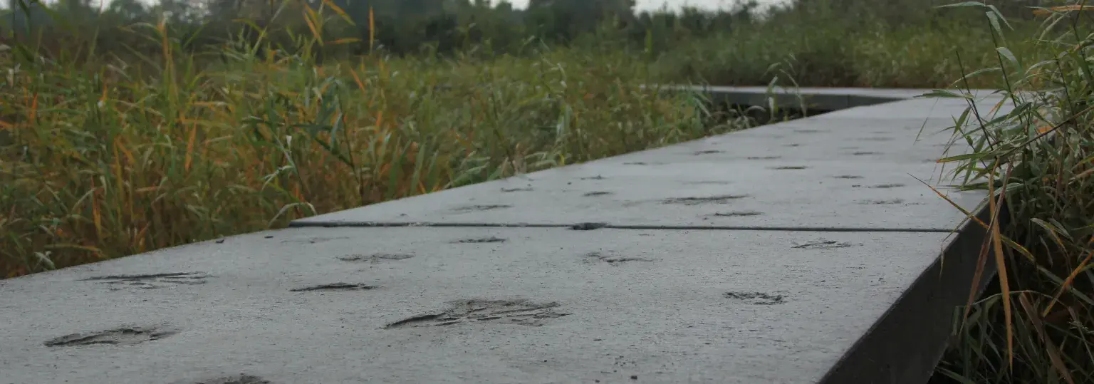 Betonplaten met bladmotief