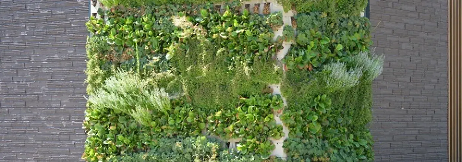 Milieuprestaties van bouwproducten 