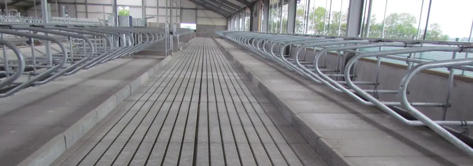 Vloer Swaans beton