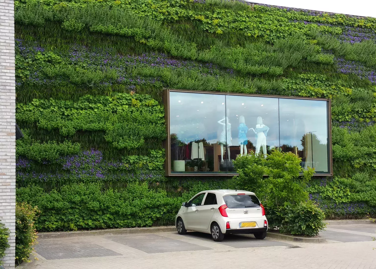 Betonnen wanden met planten of mos