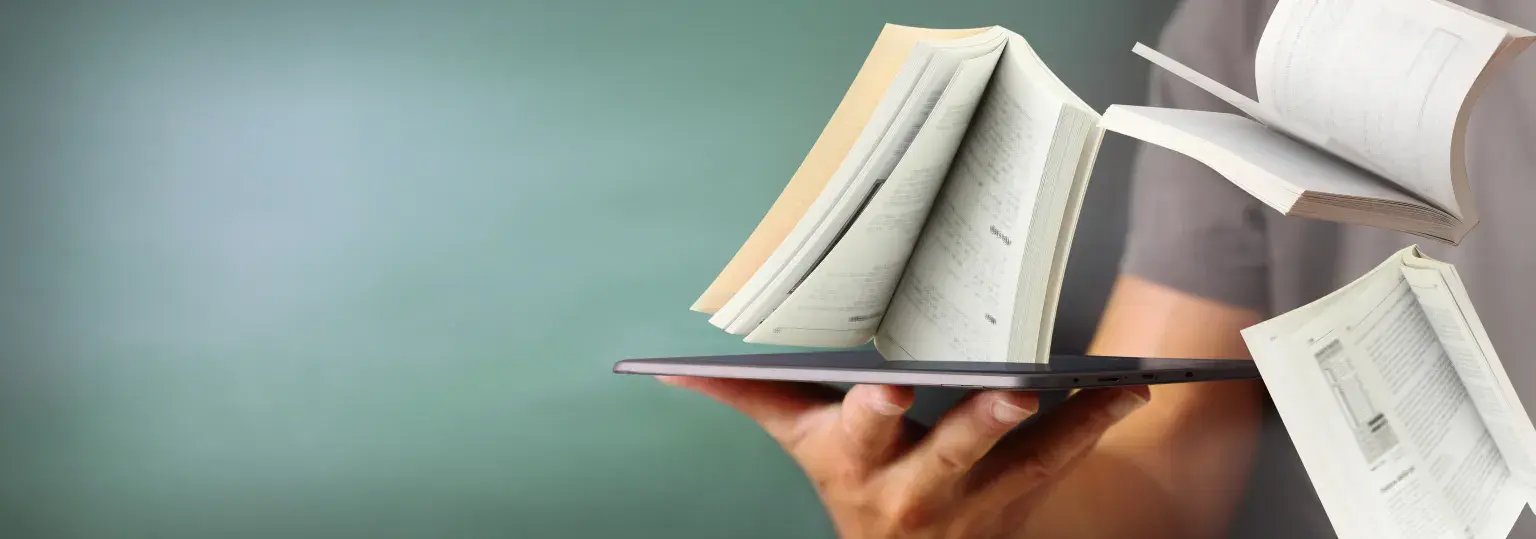 BetonTranslate, woordenboek