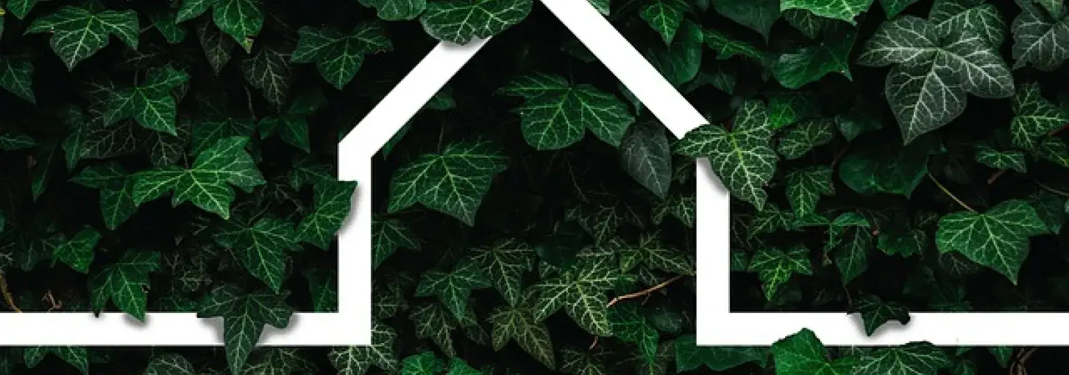 huis-in-het-groen.jpg