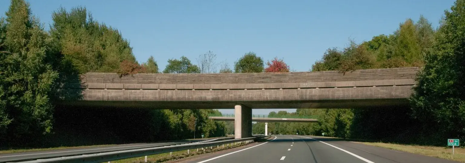 doelbeelden12955.jpg