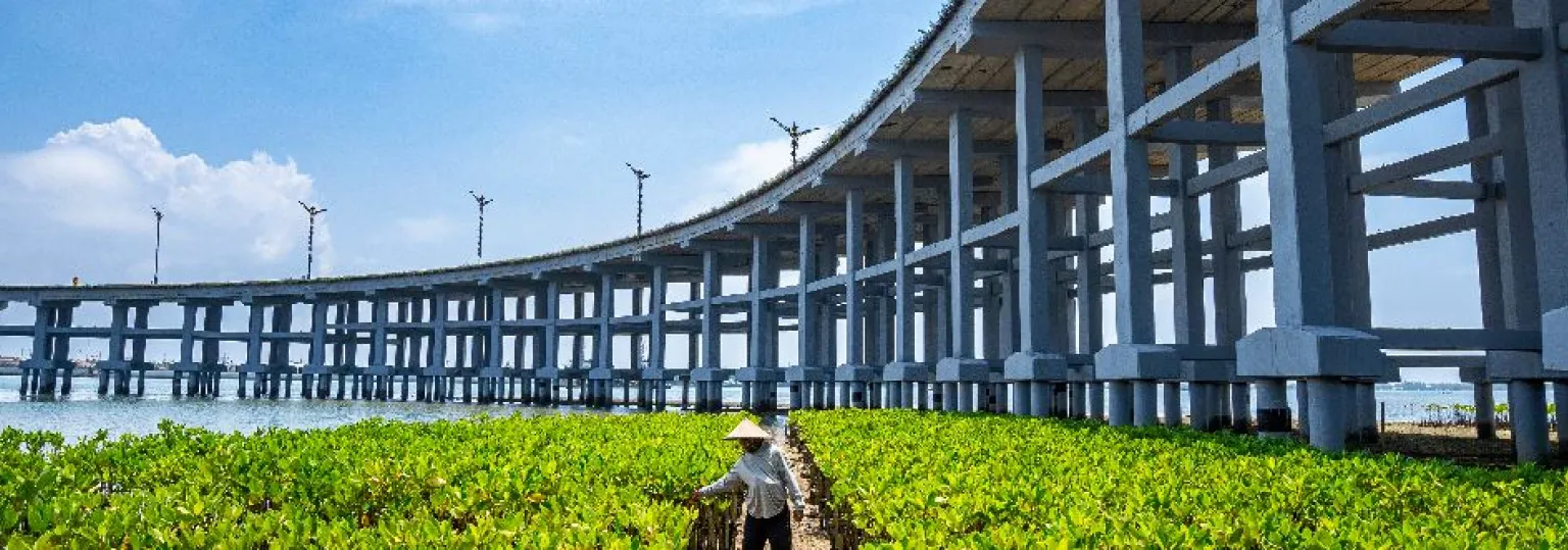 concrete.jpg