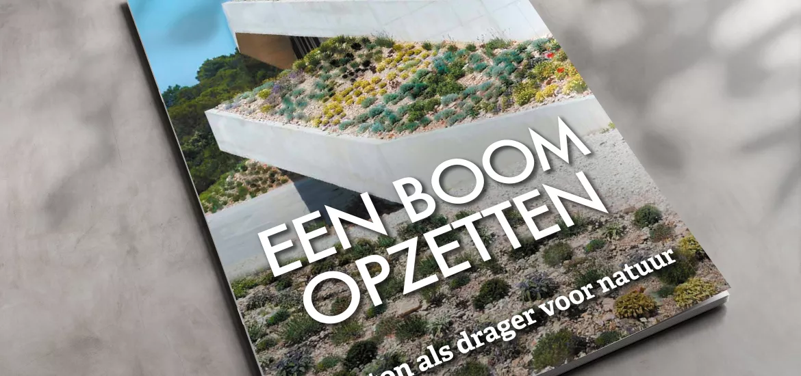 Uitgave Boom Opzetten Uitgave Boom Opzetten