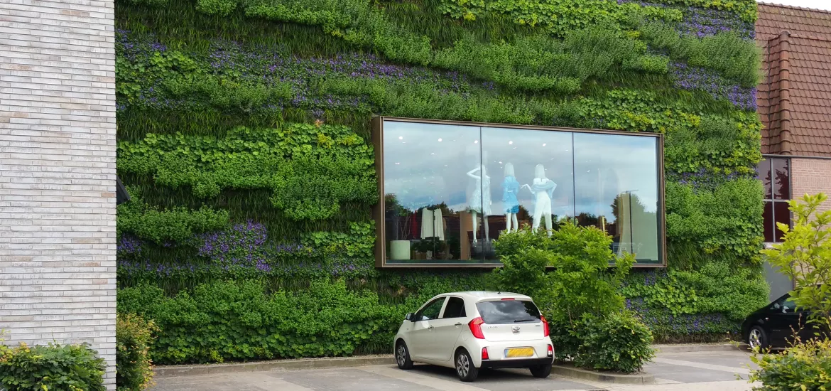 Betonnen wanden met planten of mos