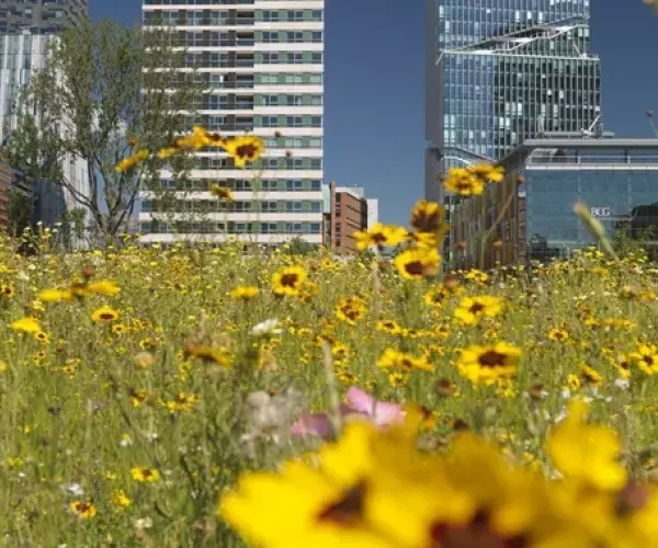 Betonhuis-Betonakkoord-Ontbijt