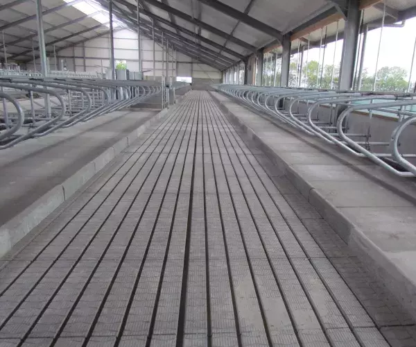 Vloer Swaans beton