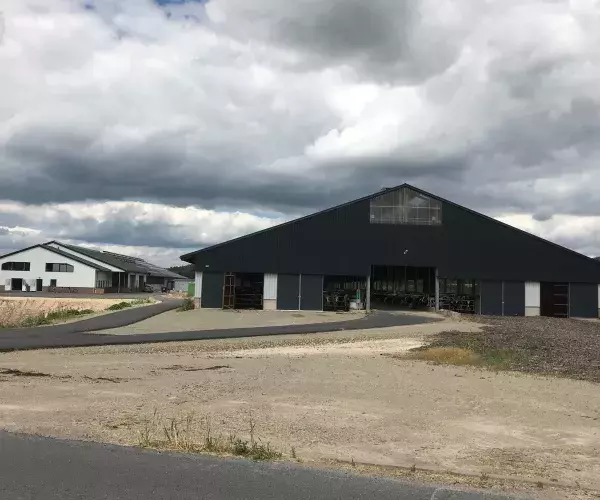 Nieuwe stal gebouwd voor 1.550 melkkoeien