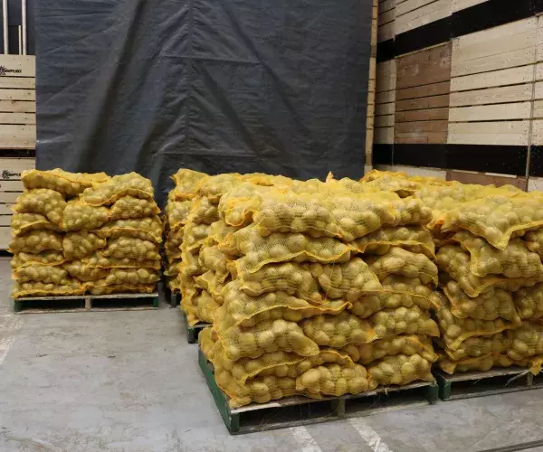Betonhuis Cement - Agrabeton - Loods voor aardappelopslag