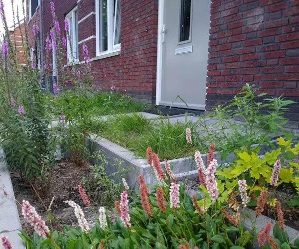 Betonhuis_Molgoot1_Gravendeel_HoekseWaard_04