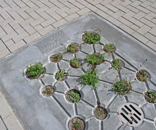 Parkeerplaats met uitsparingen waar gras in groeit voor wateropname in de grond